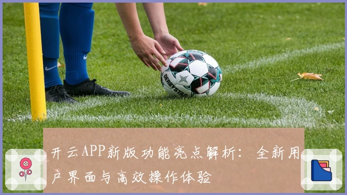 开云APP新版功能亮点解析：全新用户界面与高效操作体验