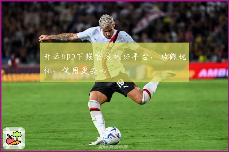 开云app下载官方认证平台，功能优化，使用更安心