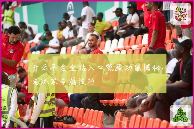 开云平台全站入口隐藏功能揭秘，老玩家专属技巧